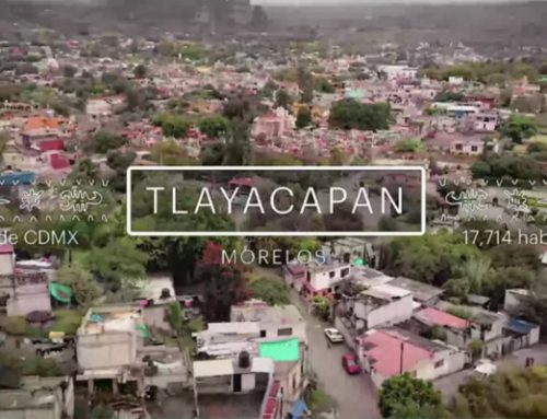 Proyecto Fenix – Iniciativa de impacto colaborativo